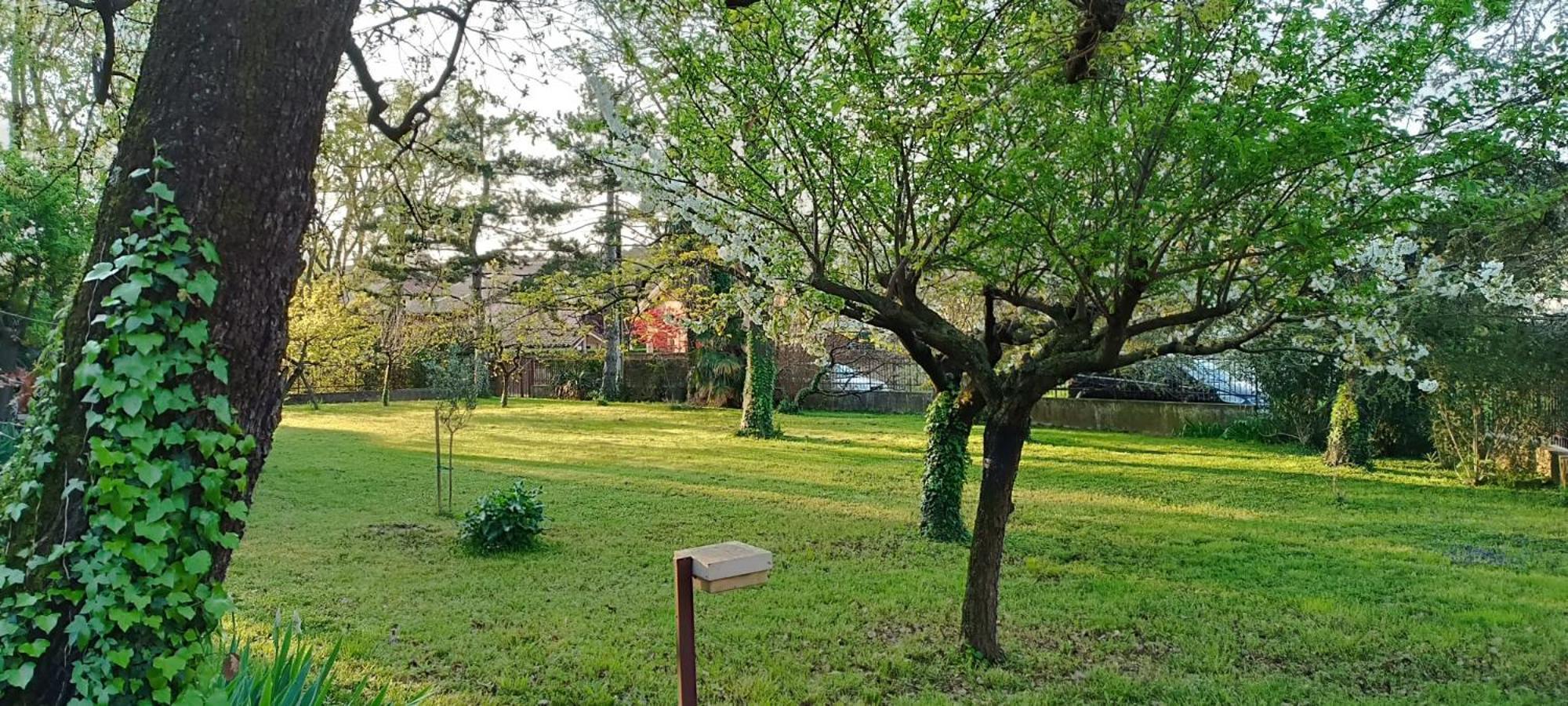 Verdemare Duino Buitenkant foto