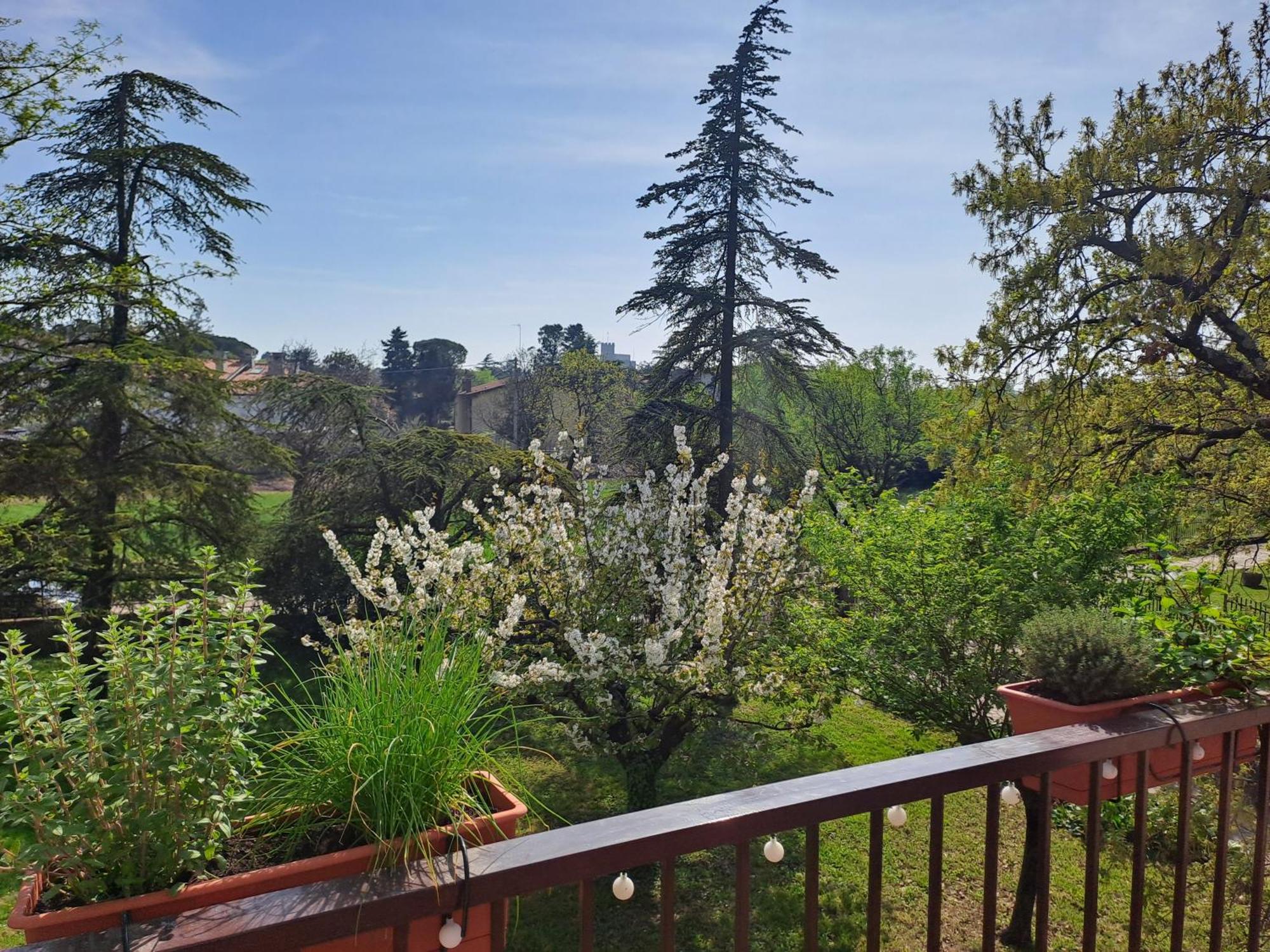 Verdemare Duino Buitenkant foto
